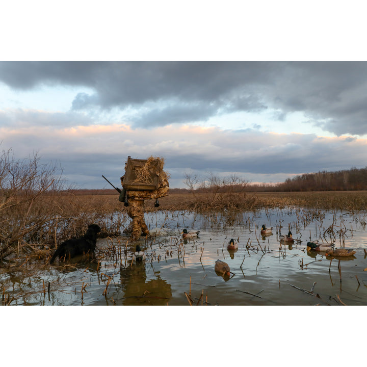 MOmarsh Invisi-Chair – MOmarsh