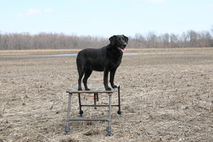MOmarsh Final Stand Adjustable Dog Stand