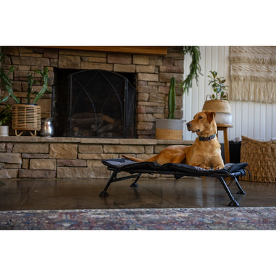 Home Cot Elevated Pet Bed