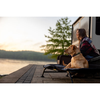 Home Cot Elevated Pet Bed