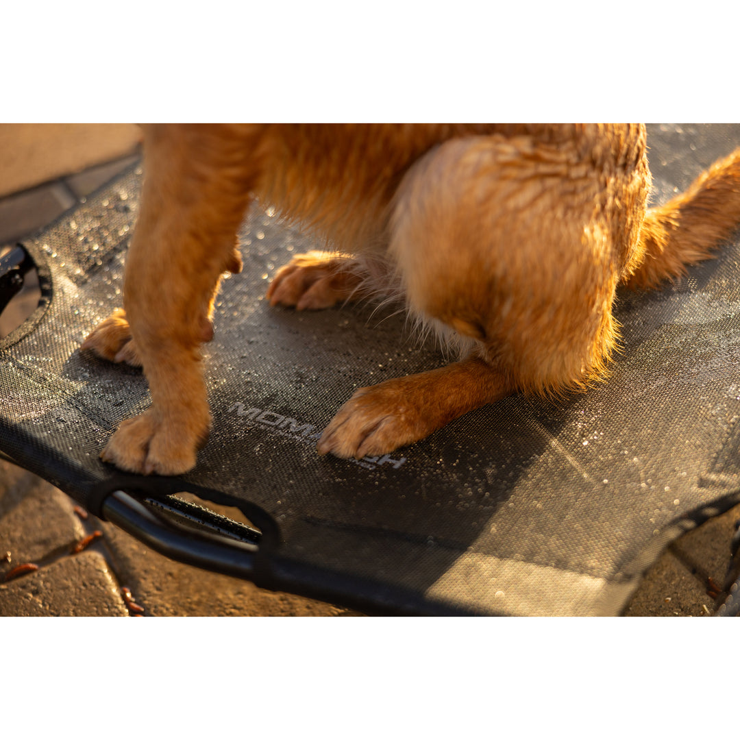 MOmarsh Home Cot Breeze Pet Bed – MOmarsh