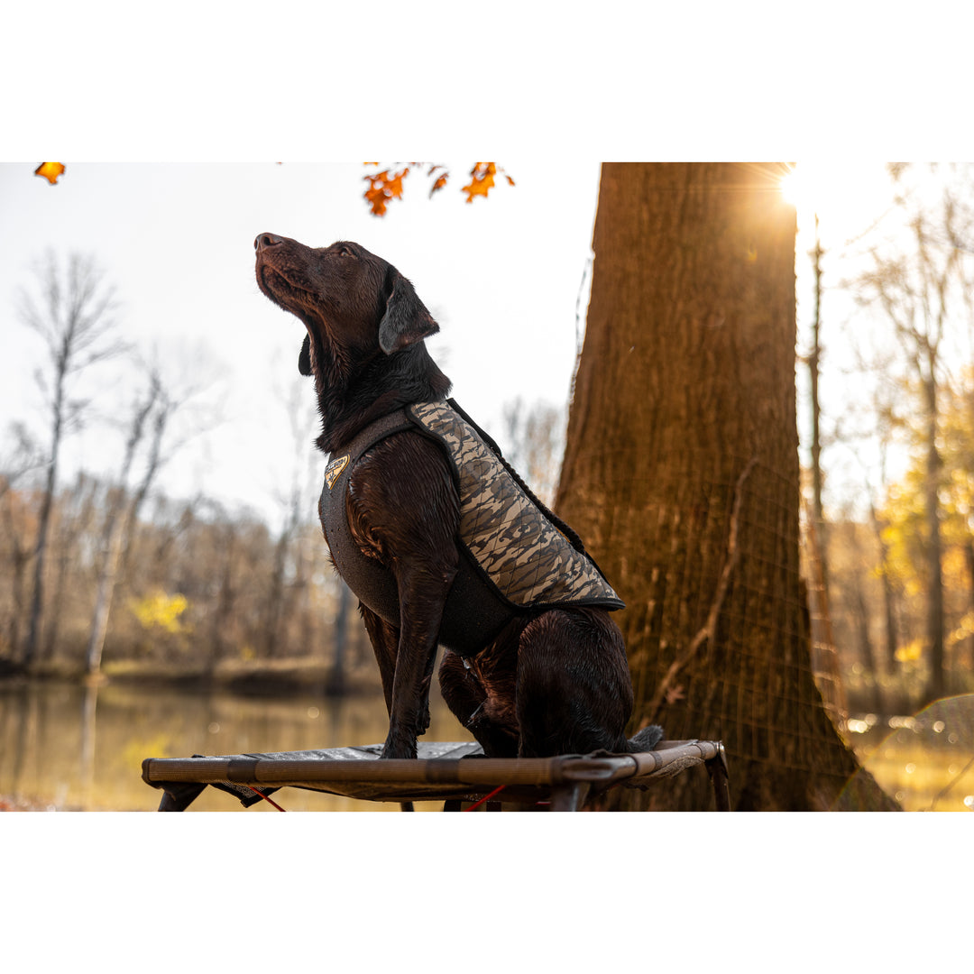 Avery sporting dog vest best sale