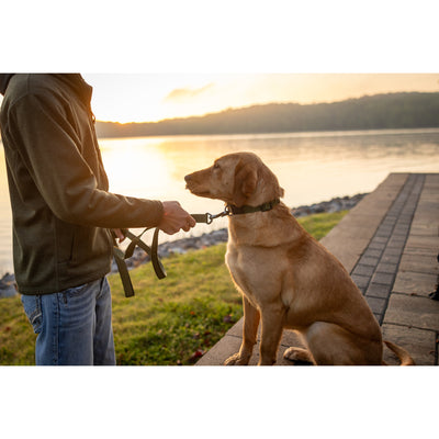 Adjustable Dog Leash