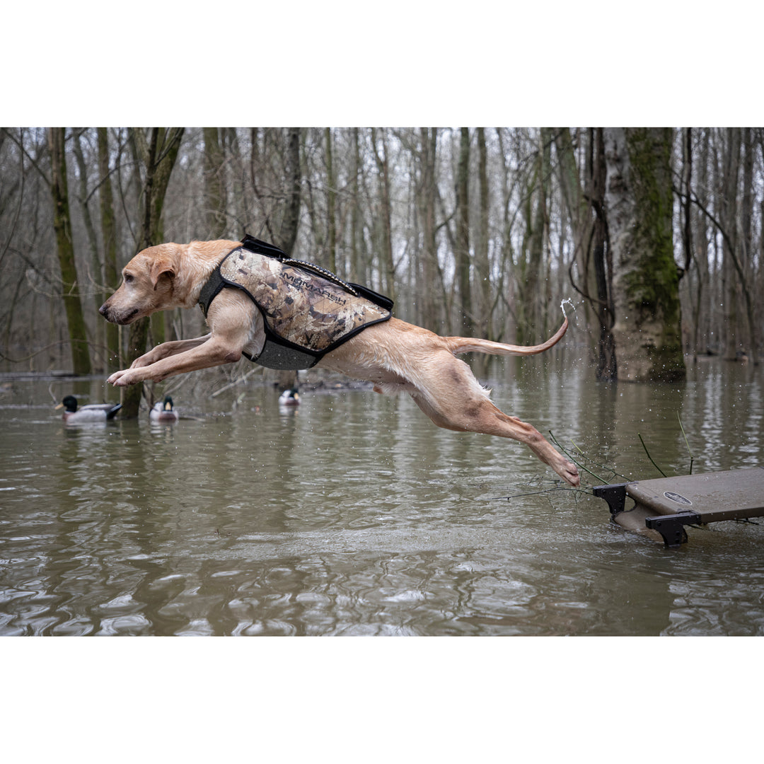 Hunting dog life jacket top