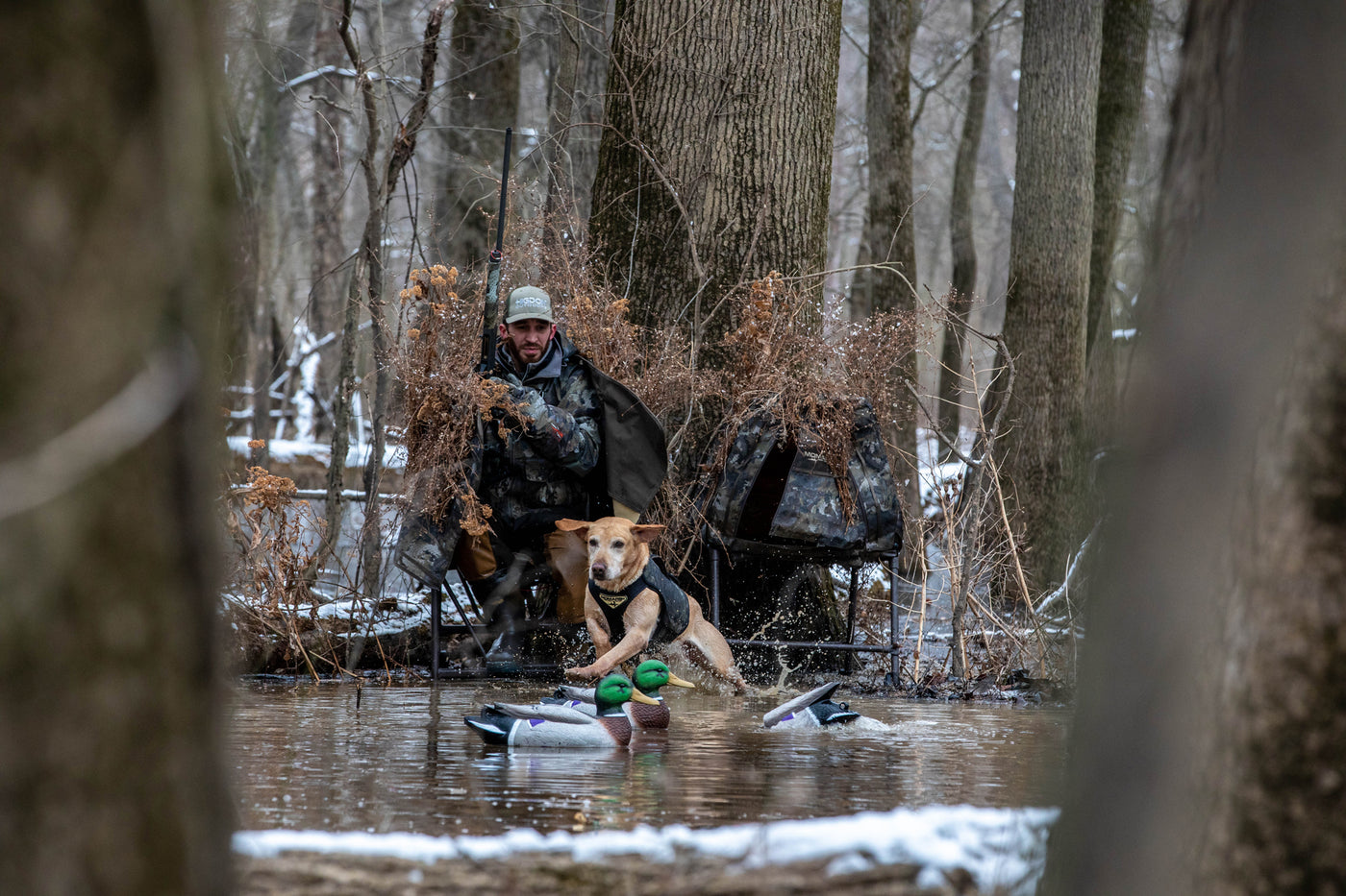 MOmarsh. Hunt Hard...Hide Easy. Come see what the ducks can't ...